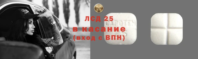 твердый Алексин