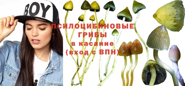 сатива Алзамай