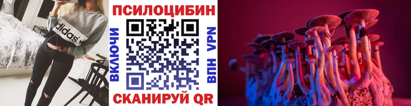 Галлюциногенные грибы Psilocybine cubensis  Венёв 